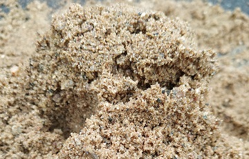 мытый песок карьер Износки мытый песок